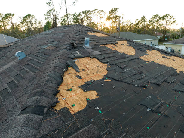 Best Commercial Roofing Services  in Big Rock, IL